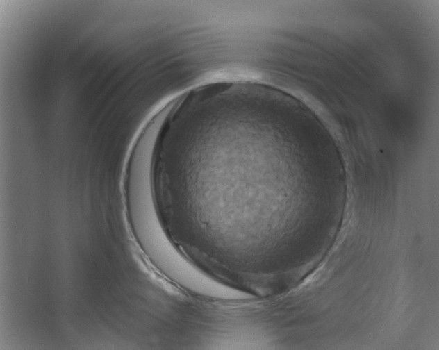 X0000068740864200605011023