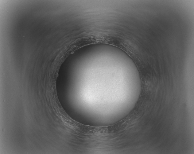 X0000068740865200605011023