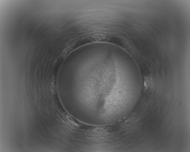 X0000068740867200605011023