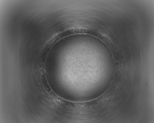 X0000068740870200605011023