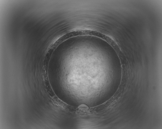 X0000068740871200605011023