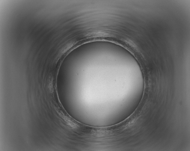 X0000068740873200605011022