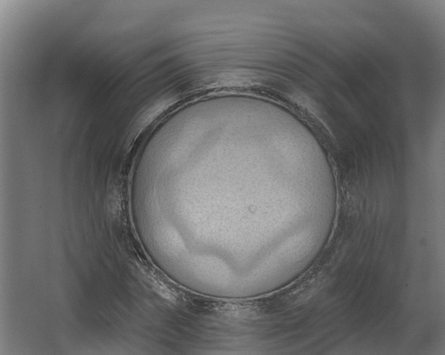 X0000068740874200605011022