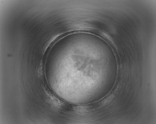 X0000068740875200605011022