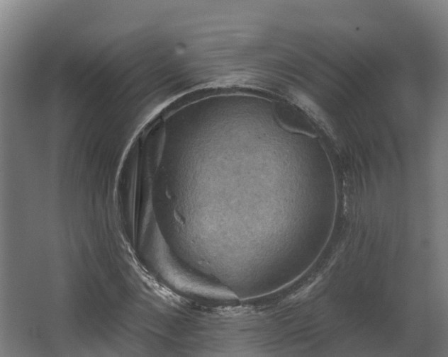 X0000068740876200605011022