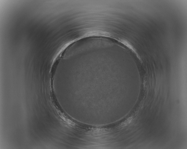 X0000068740877200605011022