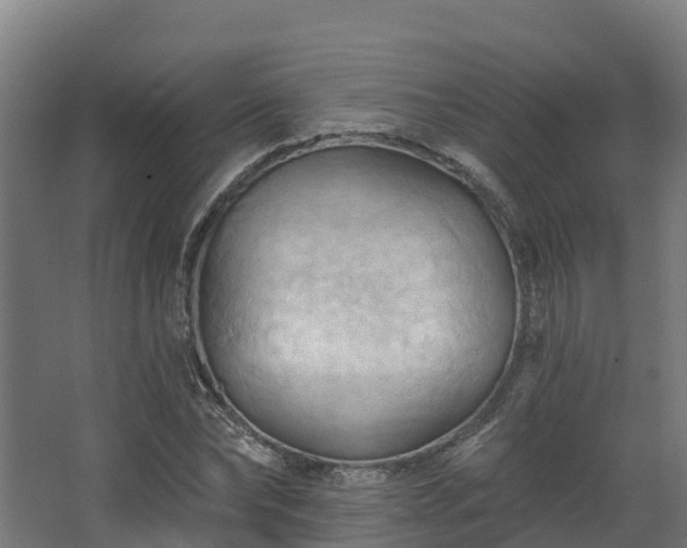 X0000068740878200605011022