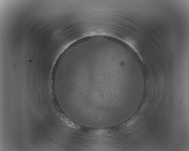 X0000068740879200605011022