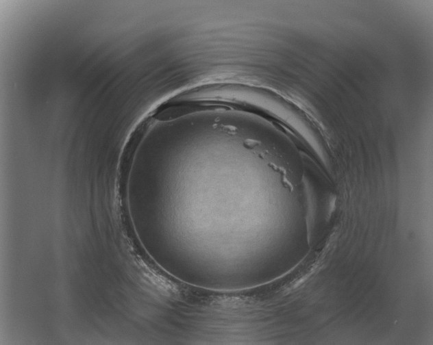 X0000068740880200605011022