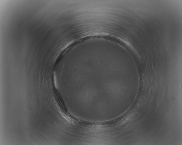 X0000068740881200605011022