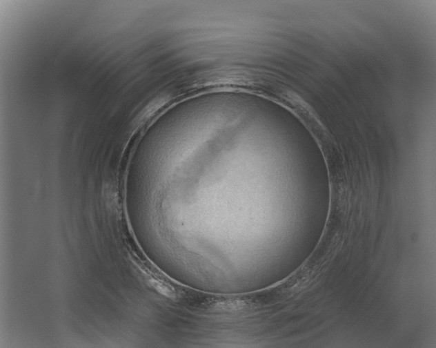 X0000068740882200605011022