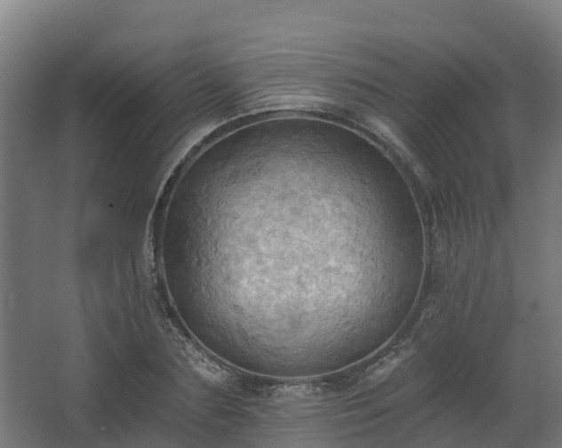 X0000068740883200605011022