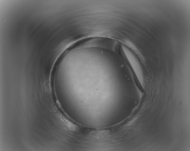 X0000068740884200605011022