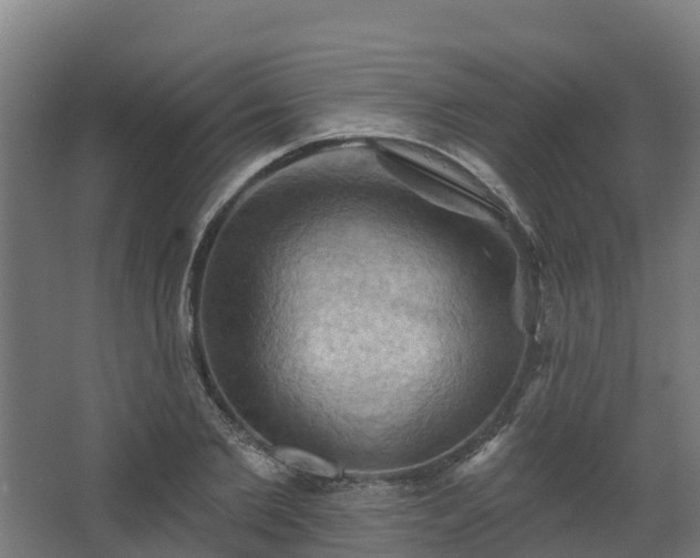 X0000068740885200605011022