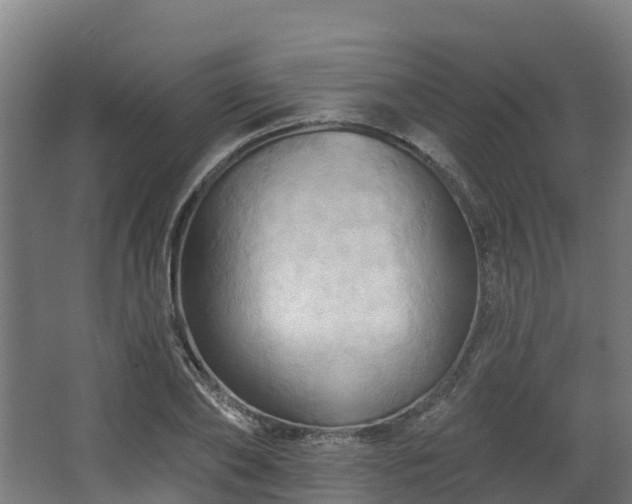 X0000068740886200605011022