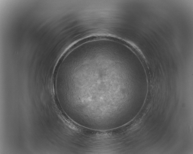 X0000068740887200605011022