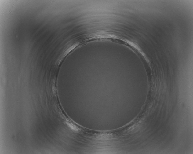 X0000068740889200605011022