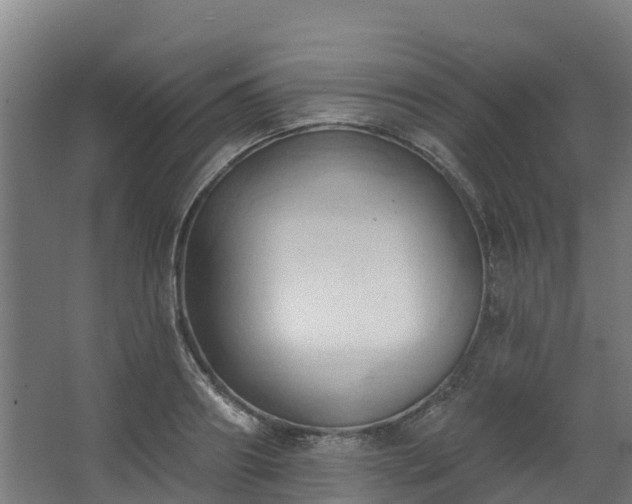 X0000068740890200605011022