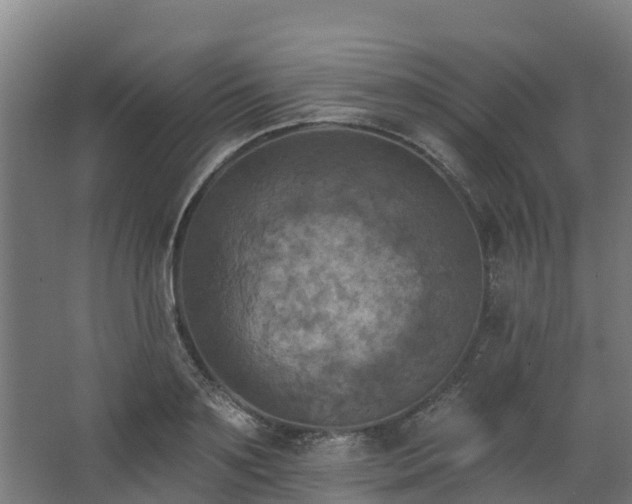 X0000068740891200605011022