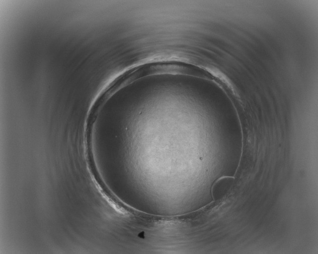 X0000068740894200605011022