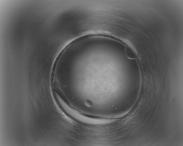 X0000068740895200605011022