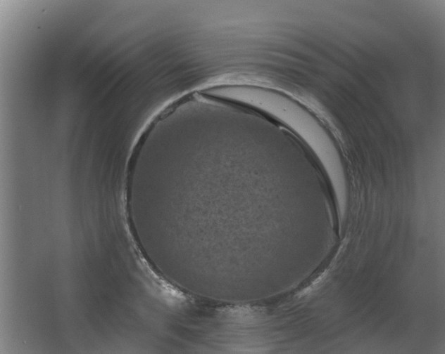 X0000068740896200605011022