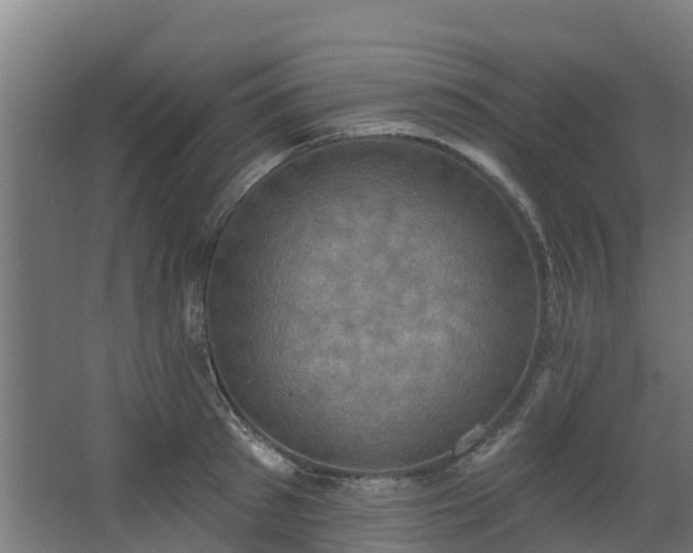 X0000068740897200605011022