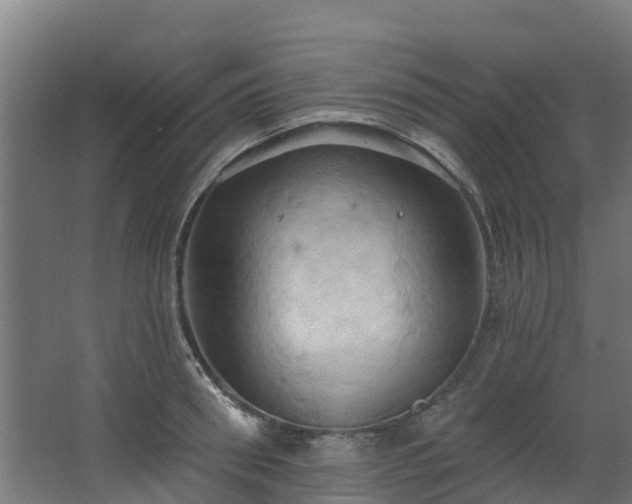 X0000068740898200605011022