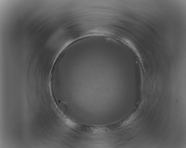 X0000068740899200605011022