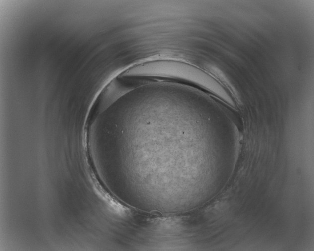 X0000068740900200605011022