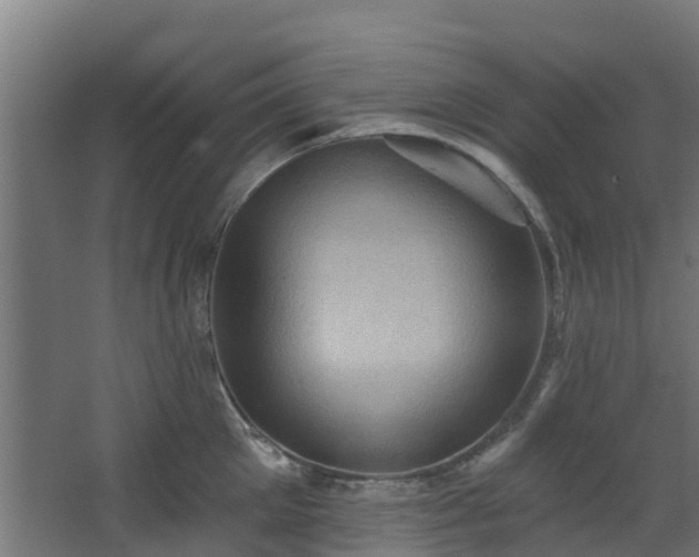 X0000068740905200605011022