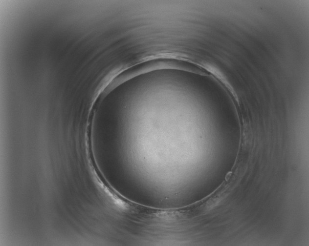 X0000068740906200605011022