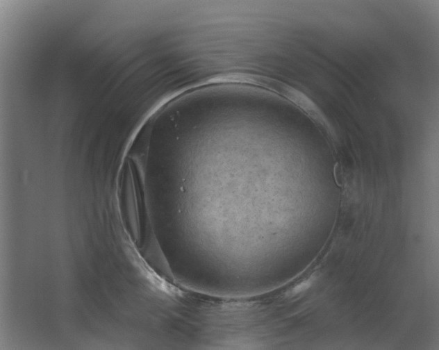 X0000068740908200605011022