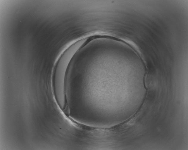 X0000068740910200605011022