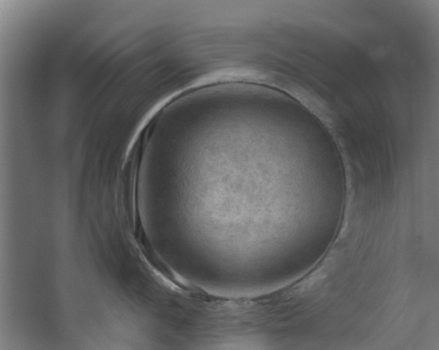 X0000068740912200605011022