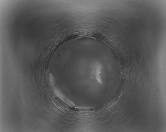 X0000068740913200605011021