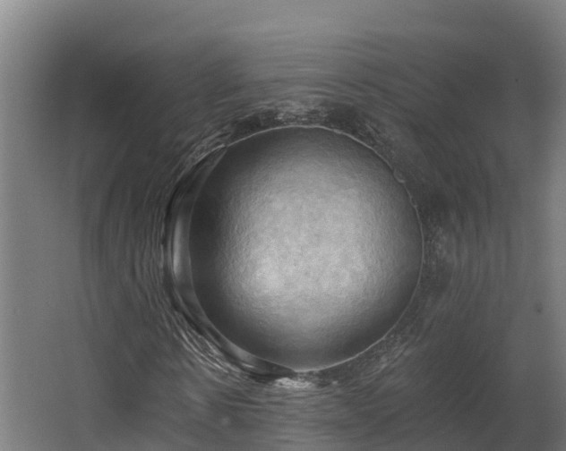 X0000068740914200605011021