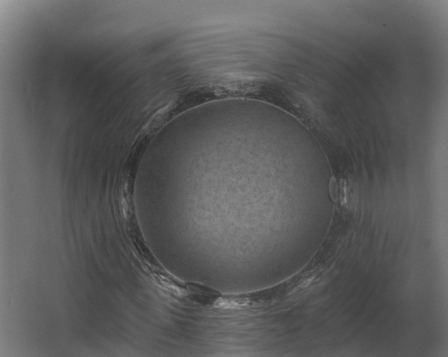 X0000068740915200605011021