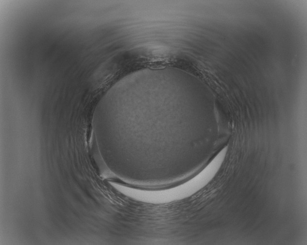 X0000068740916200605011021