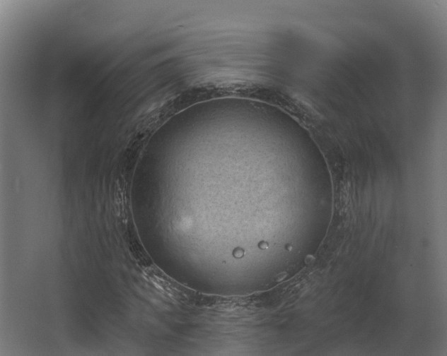 X0000068740917200605011021