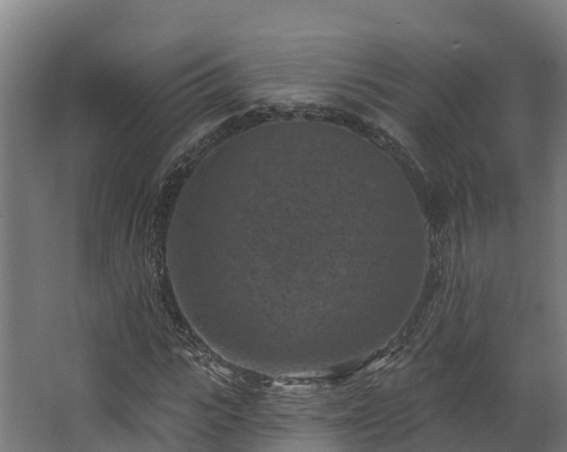 X0000068740919200605011021