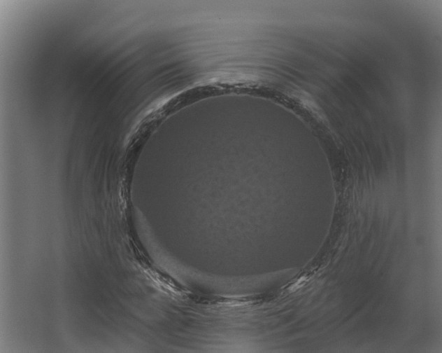 X0000068740920200605011021