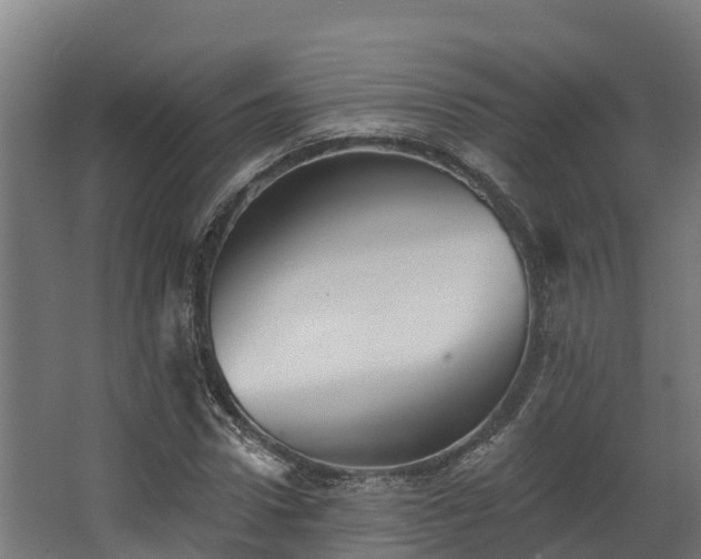 X0000068740922200605011021