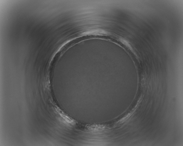 X0000068740923200605011021