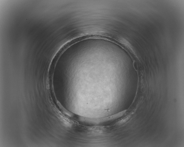 X0000068740924200605011021