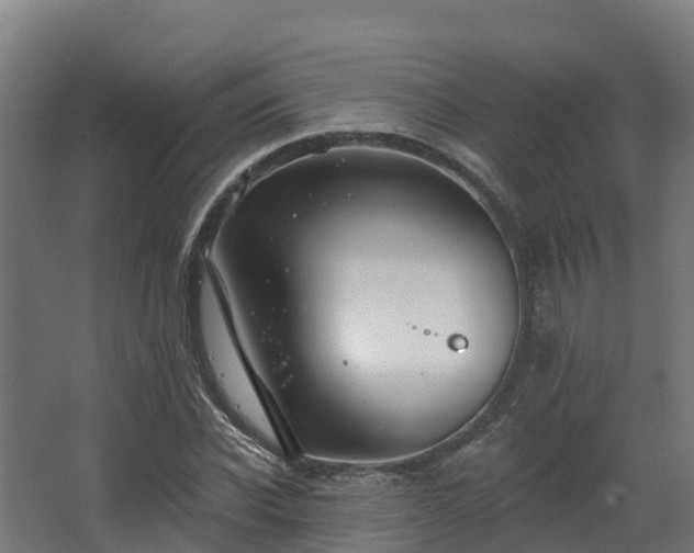 X0000068740926200605011021