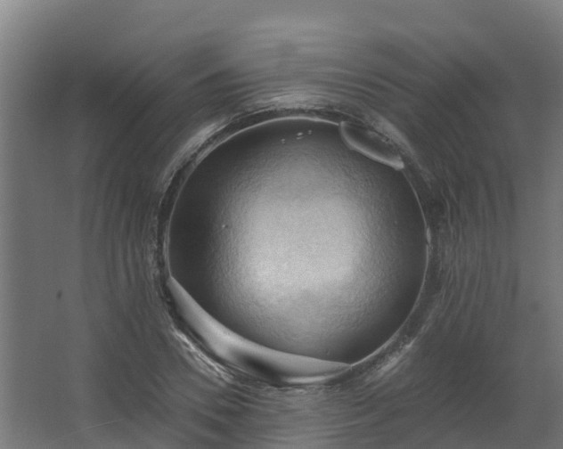 X0000068740930200605011021