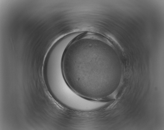 X0000068740932200605011021