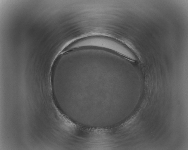 X0000068740934200605011021