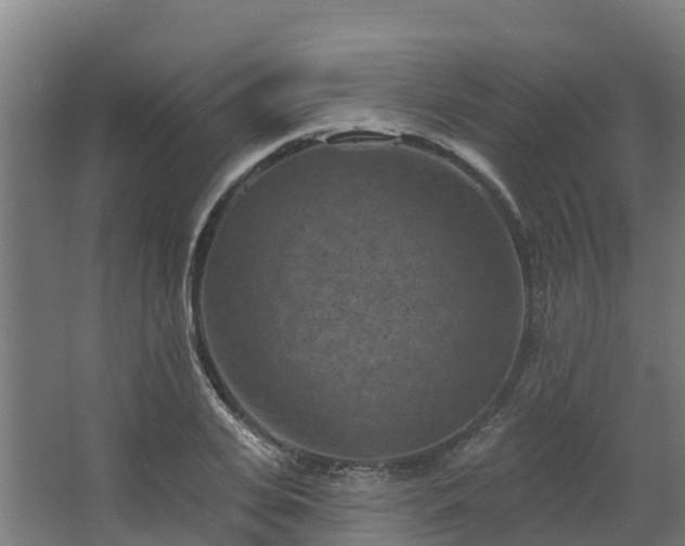 X0000068740935200605011021